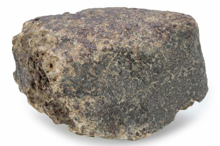 Chondrite Meteorite ( g) - Western Sahara Desert #285405